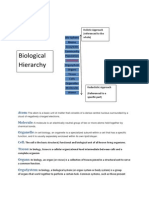 Biological Hierarchy: Atom Molecule Organelle Cell Tissue Organs Orgasystem