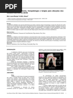 Endodontia - Anatomia, Fisiopatologia e Terapia para Afecções Dos