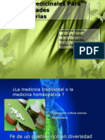 Plantas Medicinales para Enfermedades Respiratorias