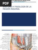 AF Region Inguinal