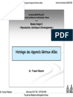 1er Cycle Pcem2 Mi5 Reproduction Histologie Des Appareils Genitaux Males Annee Universitaire