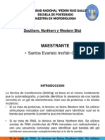 Southern, Northern y Western Blot