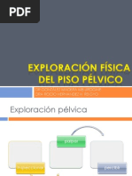 Exploración Piso Pélvico