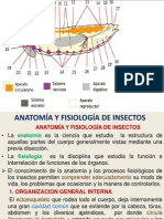 3.anatomía y Fisiología (56) 2013-III