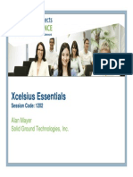 Xcelsius Essentials - SGT