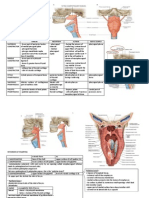 Pharynx