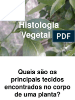 Histologia Vegetal Slides