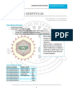 Infecciones Herpeticas