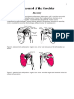 Ultrasound of The Shoulder