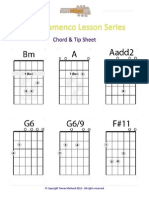 New Flamenco Lesson Series Chord and Tip Sheet