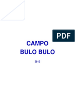 07 Chaco Campo BBL 2012