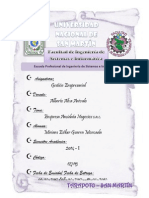 1° Trabajo - Amidata Negocios S.A.C