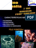 2º ANO - Reino Animal - Filos Porifera, Cnidarios, Platelmintos, Nematelmintos e Anelídeos