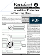 117 - Fertilisation and Seed Production