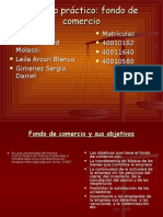 Trabajo Práctico Fondo de Comercio