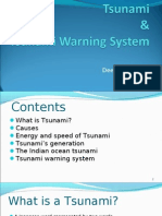 Tsunami Warning System