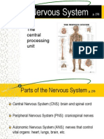 The Nervous System: The Central Processing Unit