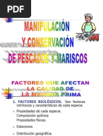 Manipulacion Del Pescado