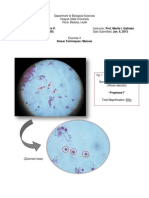 Ex #4 Meiosis in Biotechniques