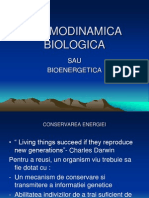 1-Termodinamica Biologica