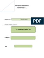 Portafolio Calculo Integral