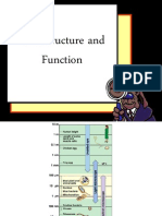 Cell Structure and Function