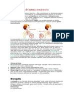 Enfermedades Del Sistema Respiratorio