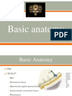 Basic Neuroanatomy PPT Slides