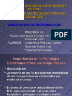 Fisiologia - Bacteriana - (Pruebas - Bioquimicas)