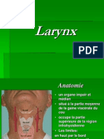 Larynx