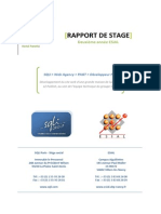 Rapport de Stage 2A