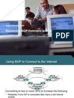 BGP Report