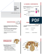 1 Hematopoyesis