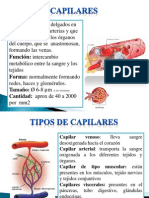 Diapositiva de Sistema Respiratorio y Circulatorio