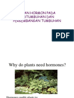 Peran Hormon Pada Pertumbuhan Dan Perkembangan Tumbuhan