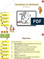 Excretion and Osmoregulation