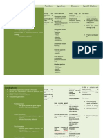 Classification of Antibiotics