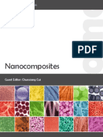 Nanocomposite S