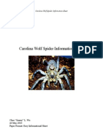 Carolina Wolf Spider Information Sheet