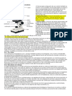 Partes Del Microscopio Compuesto Moderno