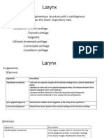 Larynx (Anatomy, Laryngomalacia, Laryngeal Web)