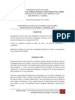 INFORME 4 - VISITA DE CAMPO CIAT - Hongos y Bacterias, en El Arroz