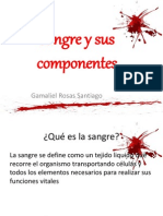 Sangre y Sus Componentes