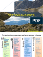 Gestion Ambiental Buenaventura