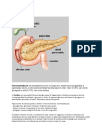 Pancreasul Endocrin