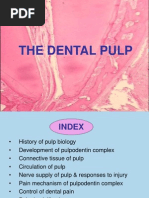 Dental Pulp