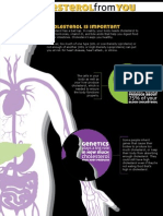 Statins and Cholesterol