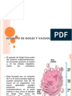 Aparato de Golgi y Vacuolas