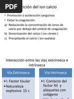 Hemostasia y Coagulación Sanguinea