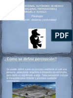 Percepcion, Distancia y Profundidad